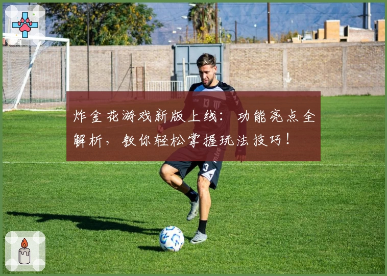 炸金花游戏新版上线:功能亮点全解析,教你轻松掌握玩法技巧!