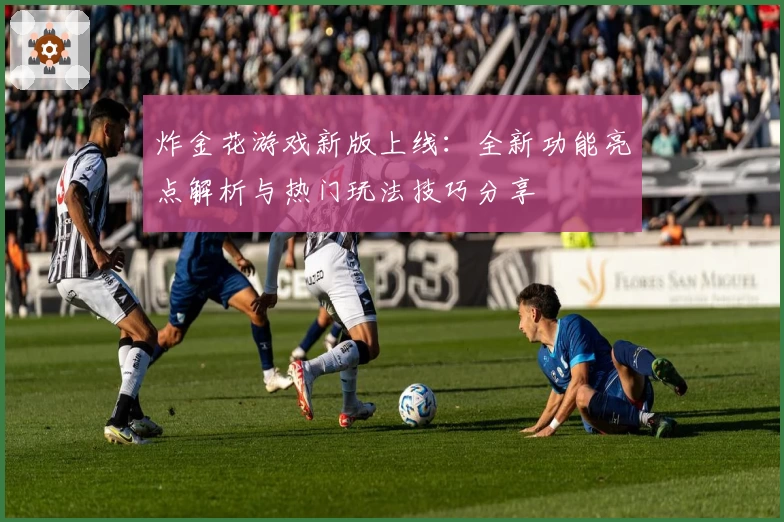 炸金花游戏新版上线：全新功能亮点解析与热门玩法技巧分享
