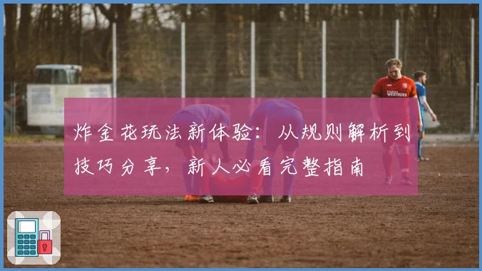 炸金花玩法新体验:从规则解析到技巧分享,新人必看完整指南