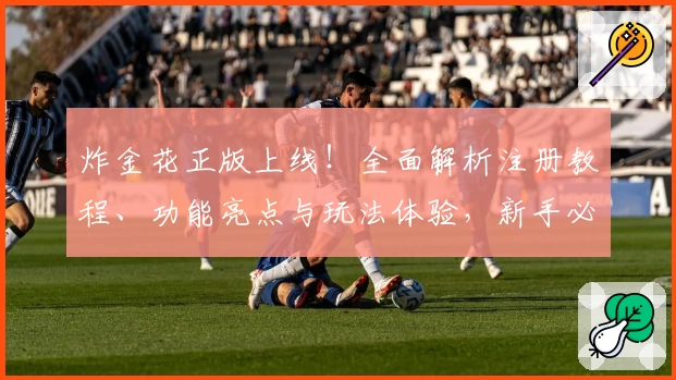 炸金花正版上线！全面解析注册教程、功能亮点与玩法体验，新手必读指南